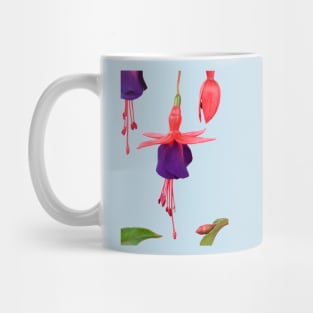 Fuchsia  FuchsiaBerry Mug